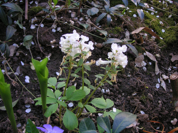 2673398260075666569pXnVJe_fs