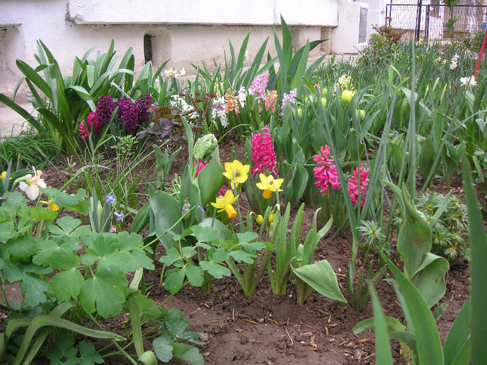 2679289320075666569Grhgks_fs