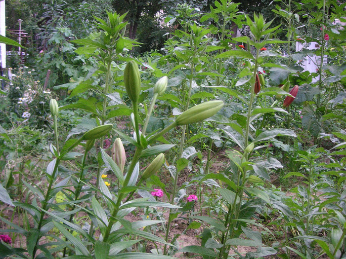 2693480870075666569FOyjGZ_fs