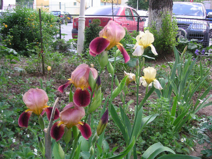 2695562430075666569ukcgNe_fs