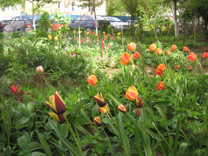 2697305080075666569CodTDt_fs