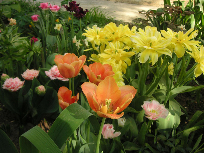 2708688450075666569MRzuMv_fs