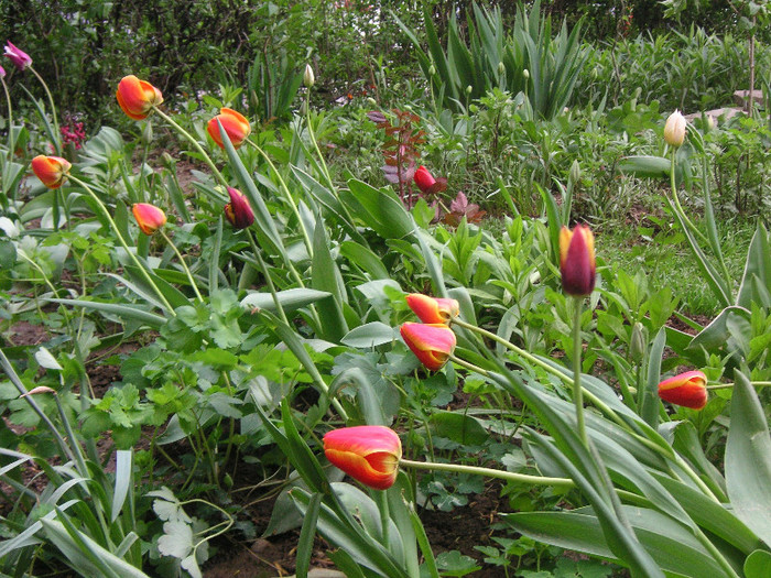 2709489980075666569REWbpe_fs