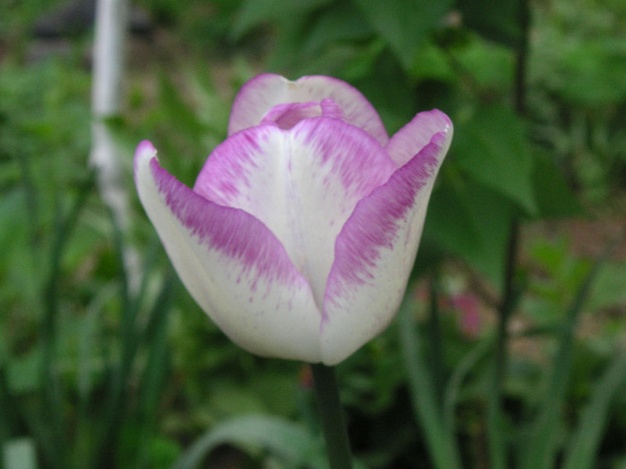 2716147470075666569KSqjeV_fs