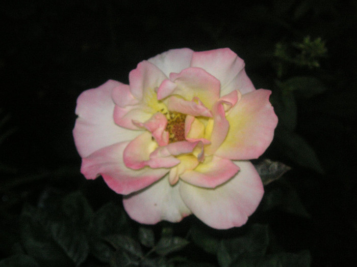 2726115300075666569ARwQdB_fs