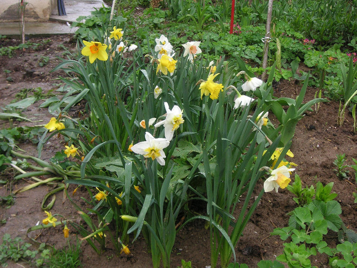 2733094310075666569qkhXOM_fs