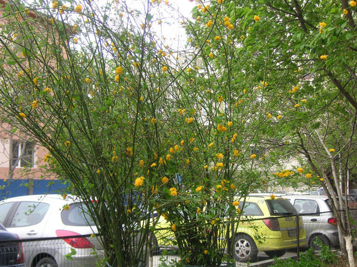 2747367450075666569XTKwKB_fs