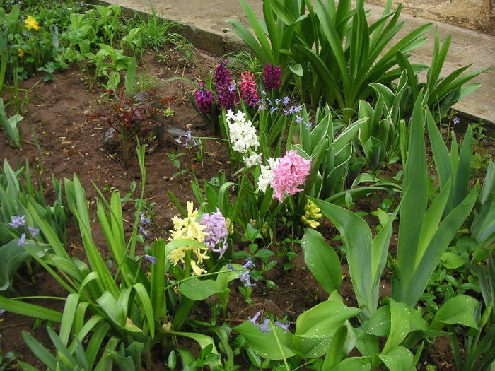 2754388220075666569uJpDkb_fs