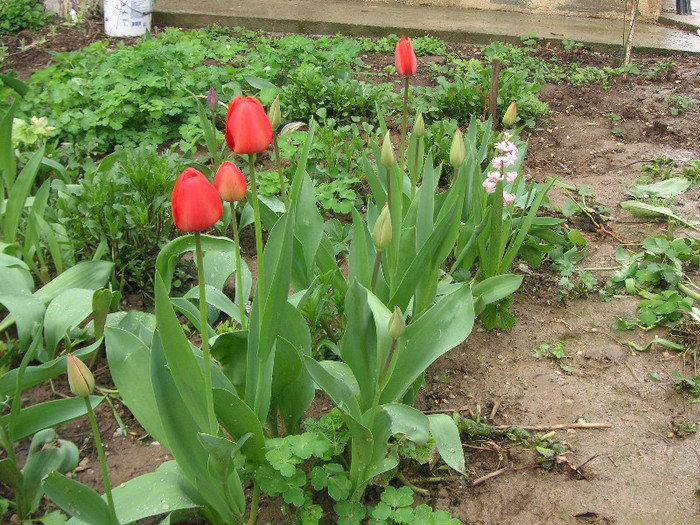 2756762690075666569XnmPHw_fs