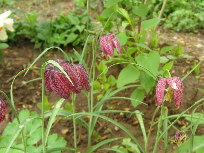 2767463580075666569sPzqwA_fs