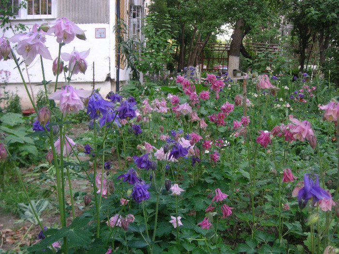 2775702880075666569VAYXqS_fs