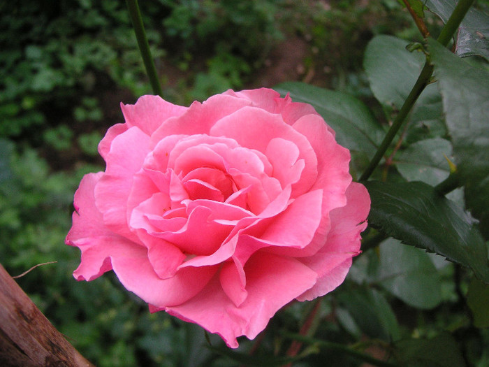 2776090120075666569qzUeOX_fs