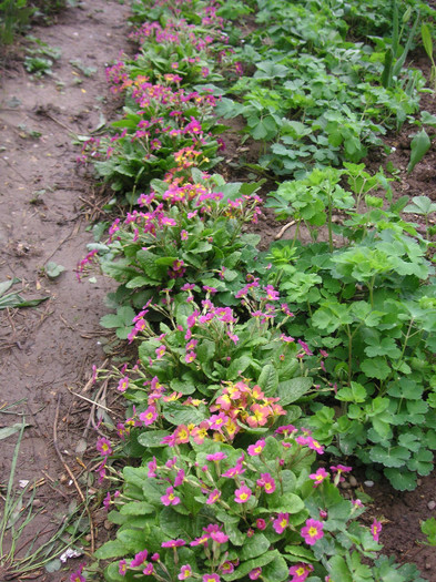 2784834610075666569rsobwC_fs