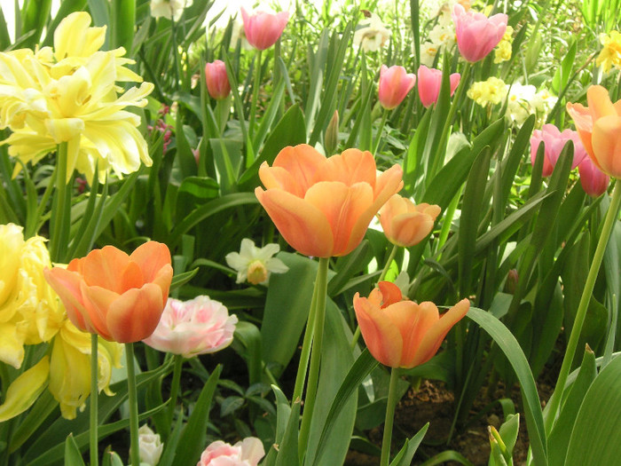 2788845790075666569jukdFz_fs