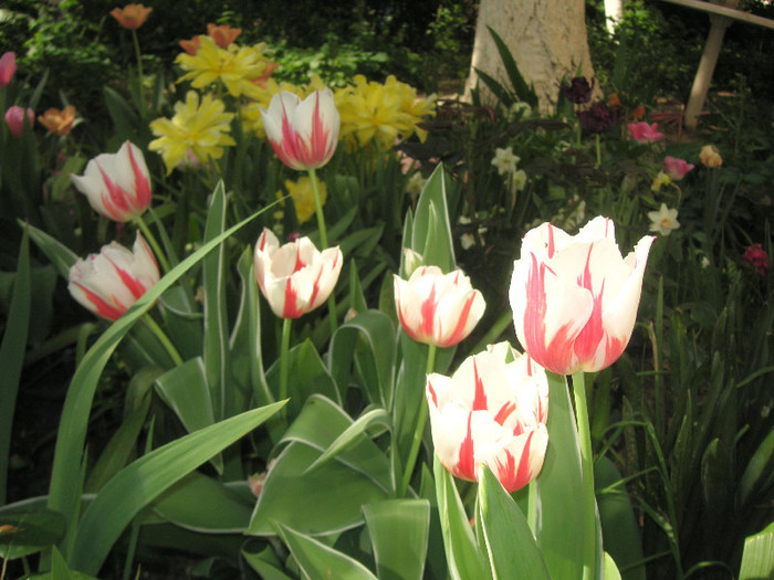 2811472050075666569hFHKLJ_fs