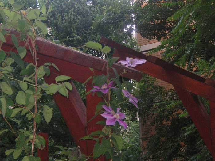 2820181530075666569gvWrHo_fs