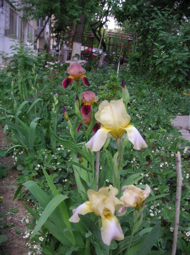 2826859780075666569mkqkrd_fs