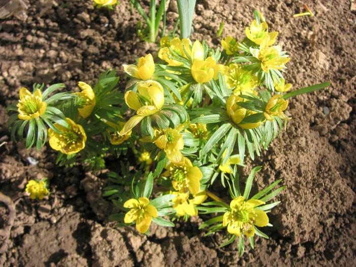 2847157720075666569jvbTYY_fs