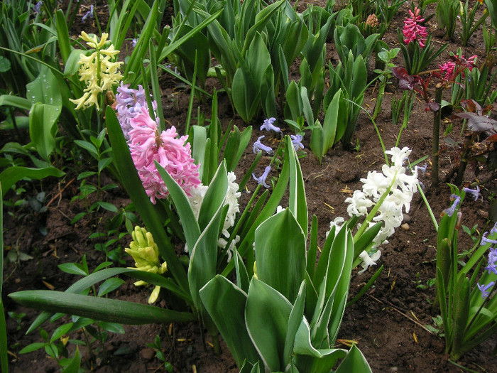 2851821080075666569ZwdTQz_fs