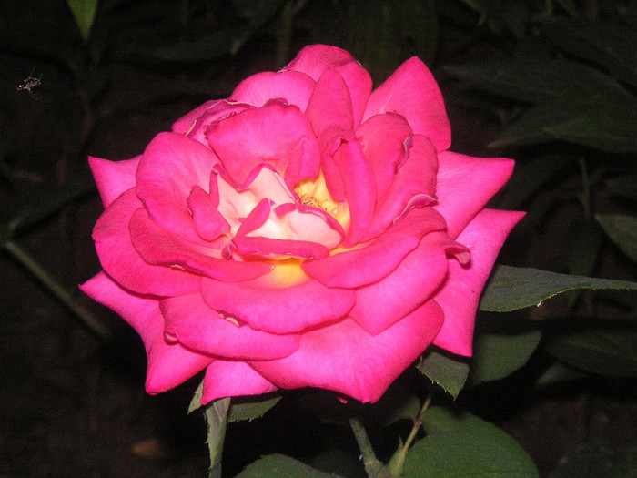 2852046800075666569tXKPSk_fs