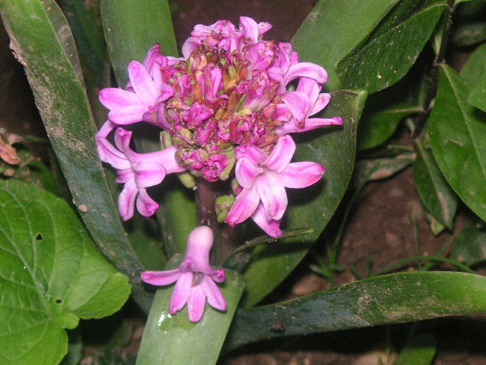 2852357860075666569iGKoNY_fs