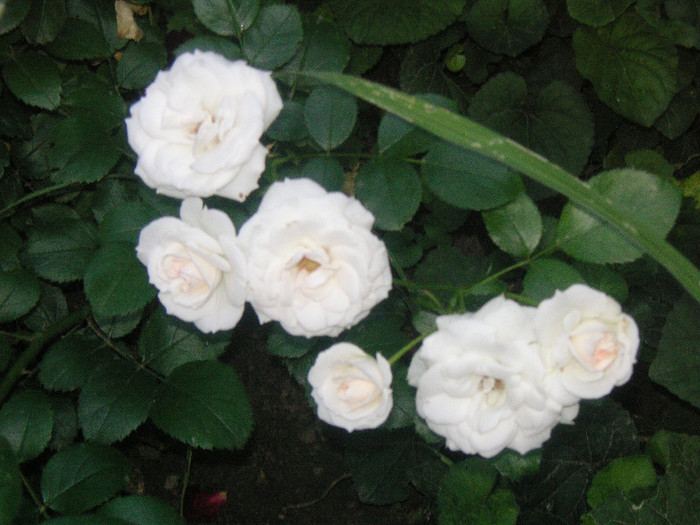 2859376370075666569hjqKGK_fs