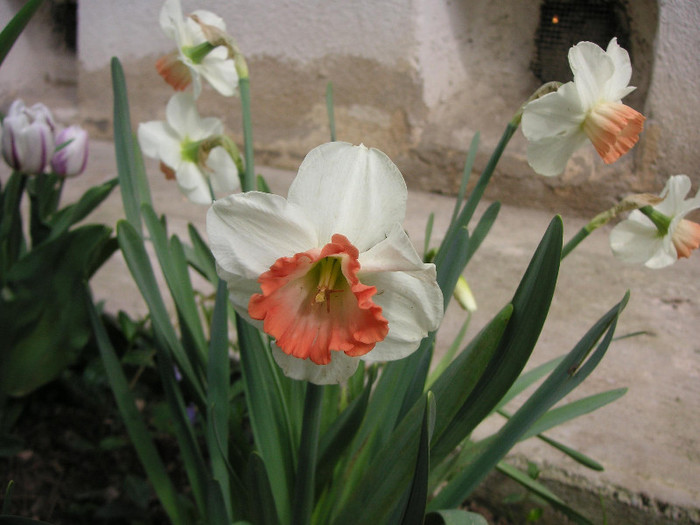 2864520540075666569fBnupH_fs