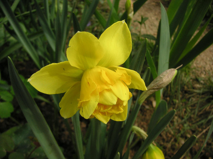 2871325650075666569ypYQOe_fs