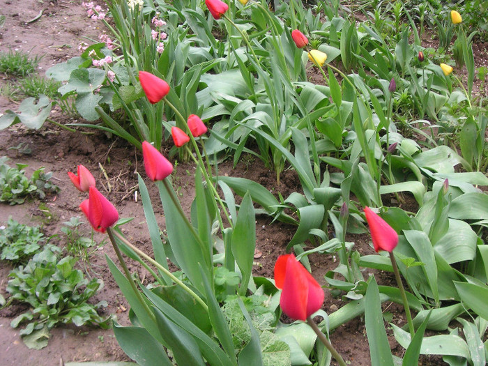 2881661220075666569GUvLzk_fs