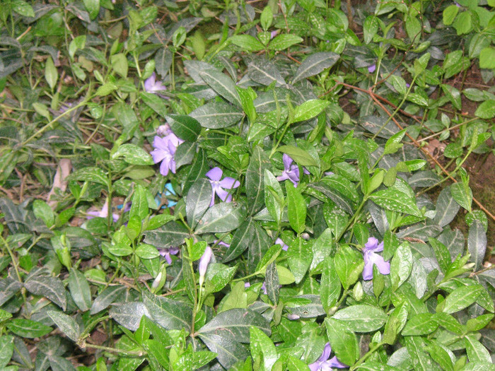 2910607640075666569ovqJOh_fs