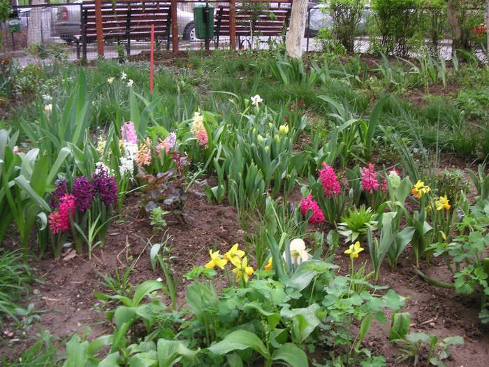 2910965260075666569PrFtlT_fs