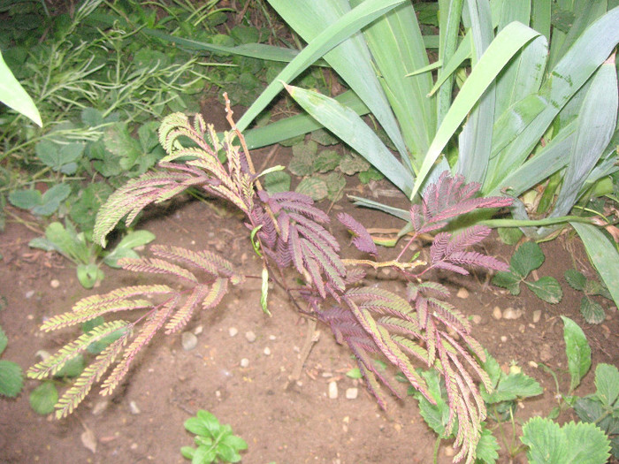 2912463920075666569kIOGnR_fs