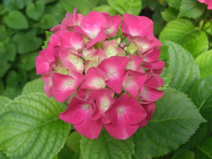 2918127640075666569jgJZjq_fs