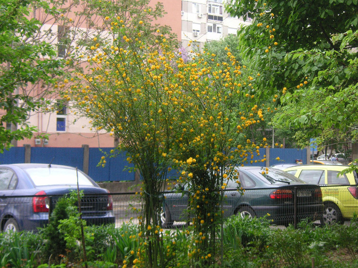 2934291240075666569LlVzvG_fs