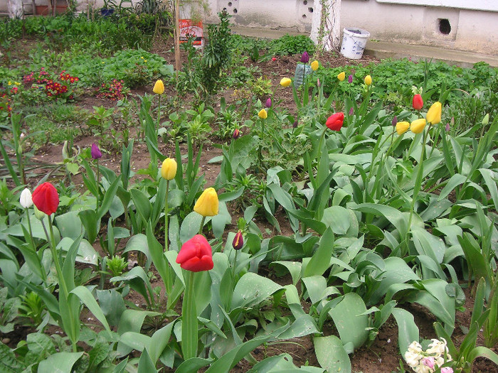 2938478270075666569RMoJhx_fs