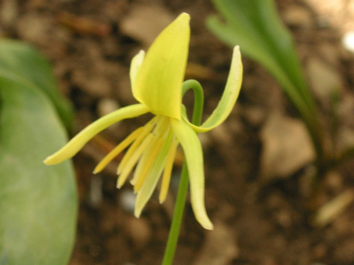 2978841570075666569WycGmf_fs