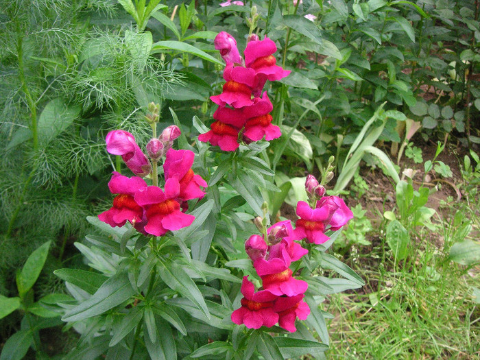 2988046380075666569FNunZI_fs