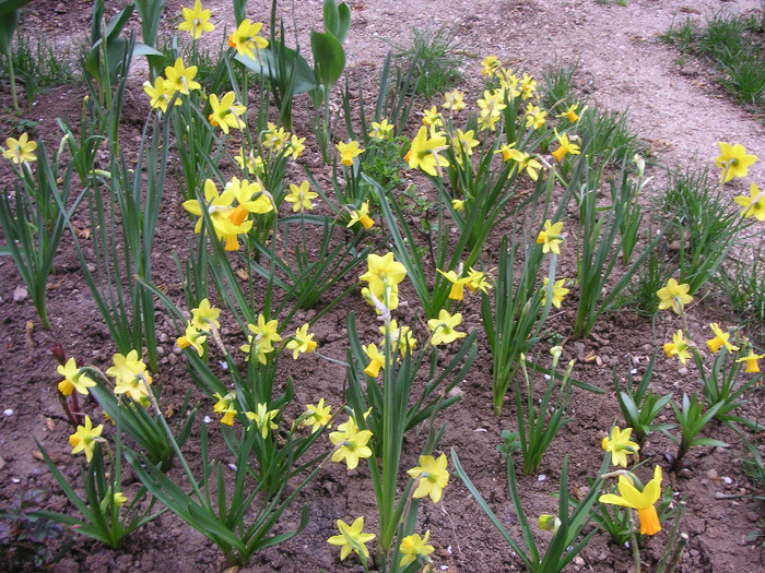 2169930920075666569SqdrlR_fs