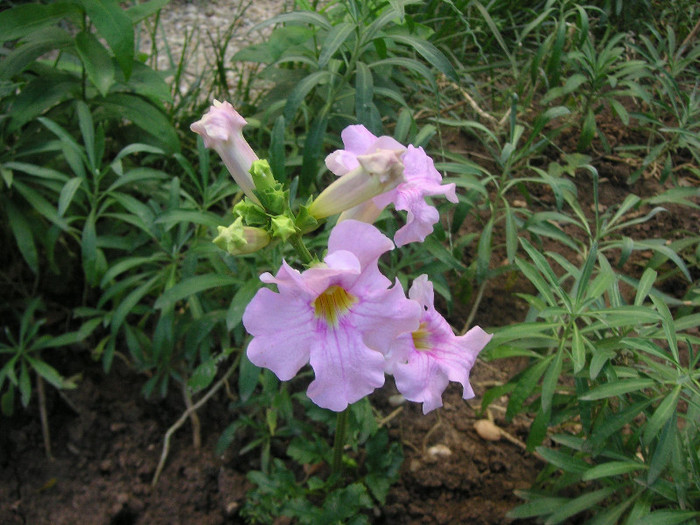 2171628840075666569riUCjY_fs