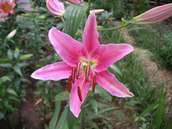 2177589310075666569aiHNnk_fs