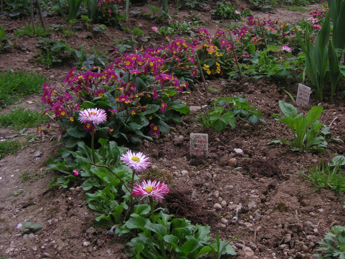 2211630920075666569NgjAVA_fs