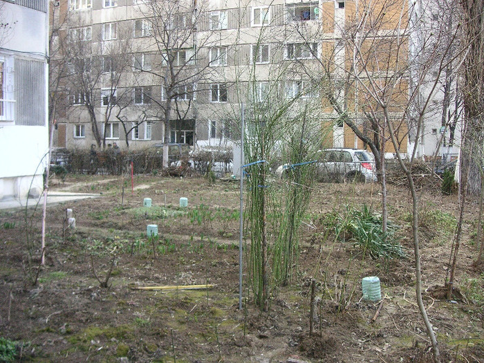 2265340630075666569ZwHiin_fs - Gradina III