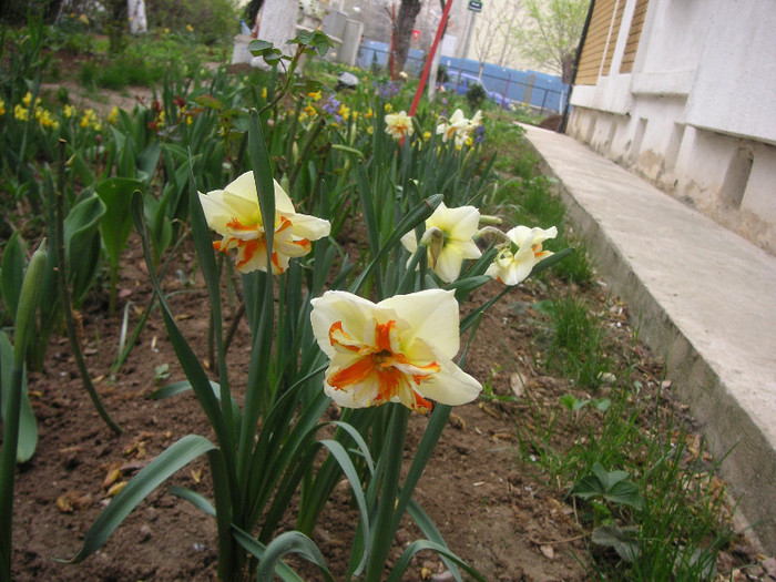 2289800030075666569azJDCS_fs - Gradina III