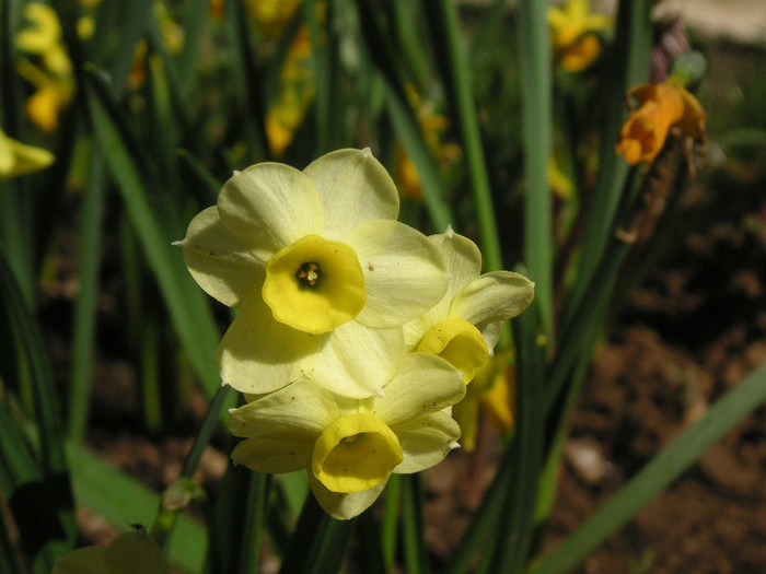 2377472130075666569ZaZLAt_fs