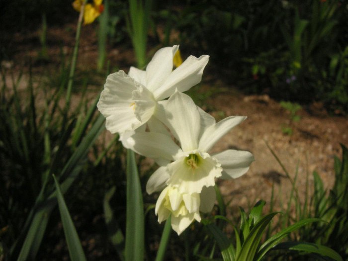 2388570480075666569PKhEPz_fs