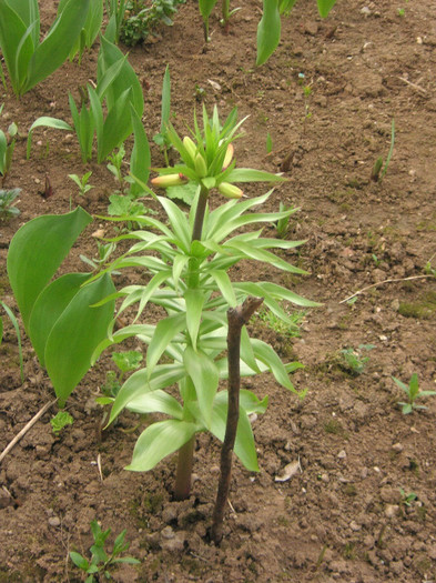 2431783180075666569xJZtjq_fs