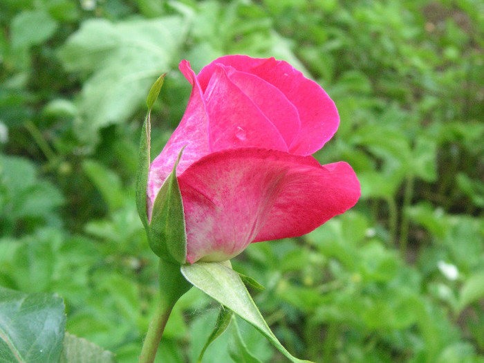 2431821370075666569ZOGLyV_fs