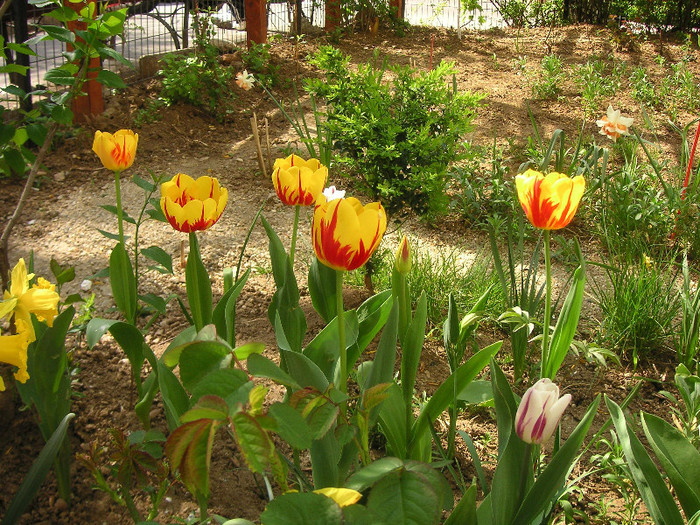 2438609220075666569AXuztH_fs