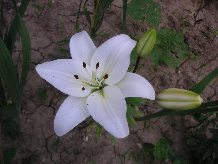 2448101290075666569fqvxRo_fs