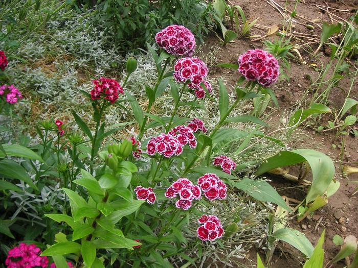 2452539600075666569GcJcff_fs